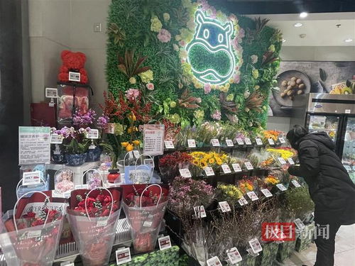 鮮花消費日?；厔菝黠@，武漢時令春花綻放新商機